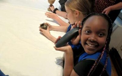 Eagle Class visit to the Museum of Archaeology and Anthropology