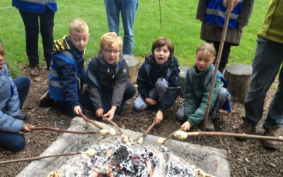 Woodpeckers Outdoor Learning at Wandlebury