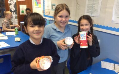 Woodpecker Class torches