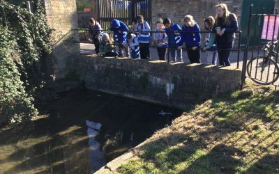 Eagles Outdoor Learning
