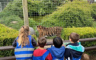Robin and Owl Class Visit to Shepreth Wildlife Park